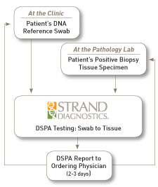 DSPA Testing Process